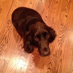 Meet your Posher, Jennie